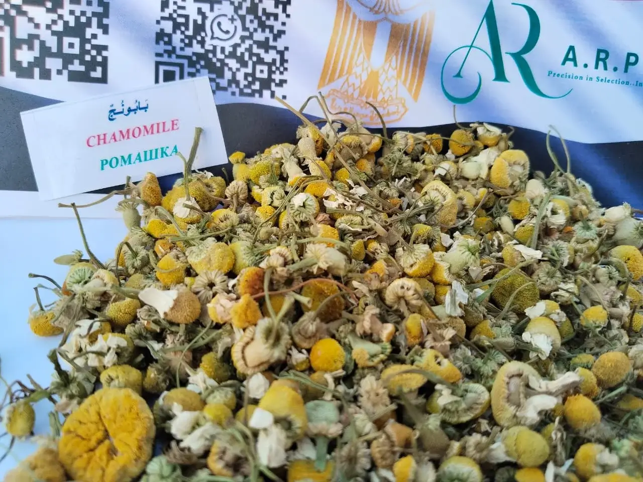 CHAMOMILE