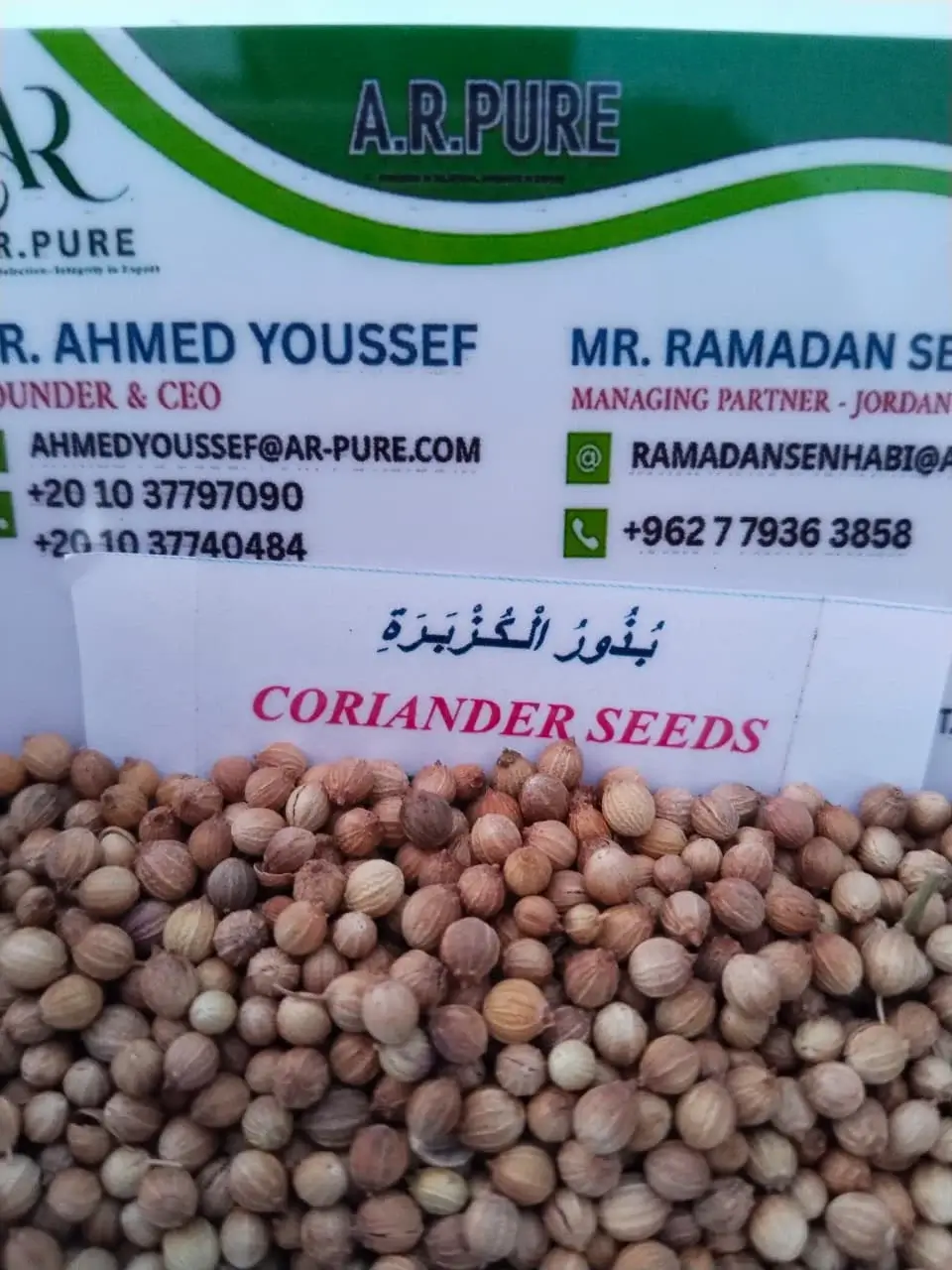 CORIANDER SEEDS