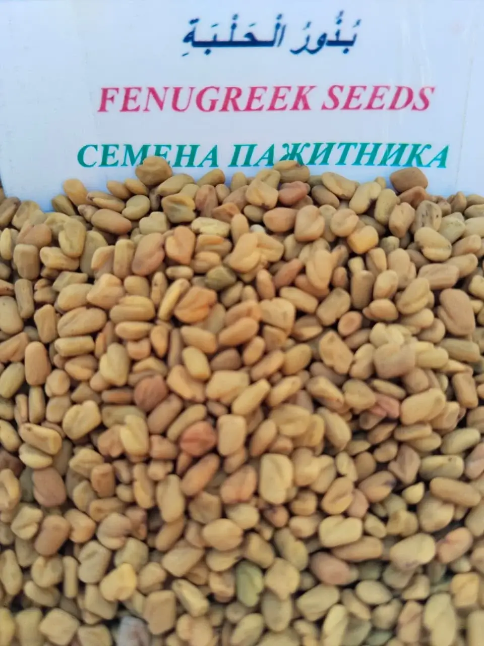 FENUGREEK SEEDS