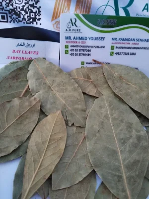 BAY LEAVES