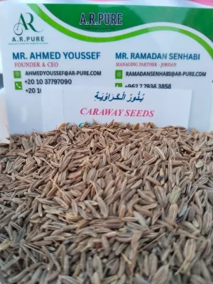 CARAWAY SEEDS
