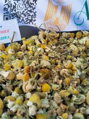 CHAMOMILE