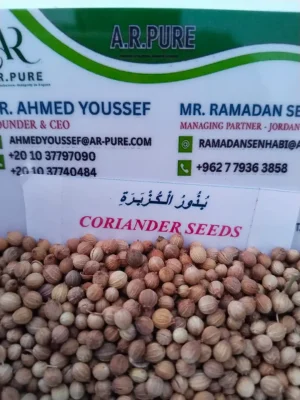 CORIANDER SEEDS