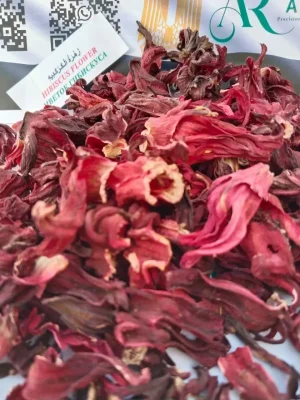 HIBISCUS FLOWER (1)