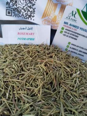 ROSEMARY (1)